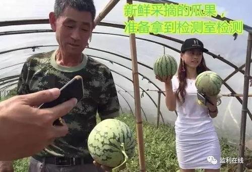 线下吃瓜群众,揭秘娱乐圈幕后故事