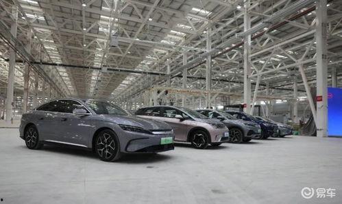 合肥比亚迪吃瓜,揭秘背后真相与争议