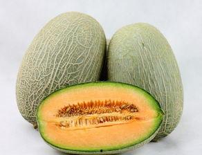 经期能否吃哈密瓜,经期女性适宜与不宜食用的哈密瓜指南