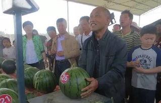 冷水滩吃瓜群众,吃瓜群众热议，揭秘当地热点事件