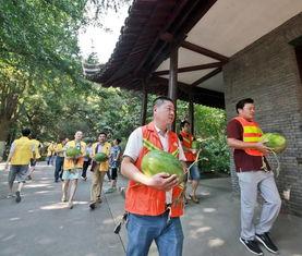 冷水滩吃瓜群众,吃瓜群众热议，揭秘当地热点事件