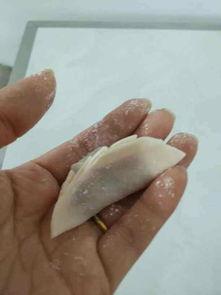 佛手瓜冷冻可以吃,美味依旧尽享