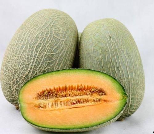 吃哈密瓜会长痘吗