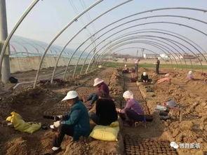 界首吃瓜大镜头,揭秘街头热辣瞬间