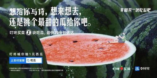 金融吃瓜群文案,揭秘吃瓜群背后的金融秘密