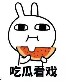 吃瓜怎么啦,揭秘“吃瓜”背后的社会现象与网络文化