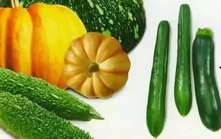 打春吃瓜啥意思,探寻传统习俗中的趣味与智慧