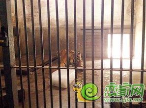 邯郸峰峰公园吃瓜,畅享清凉时光