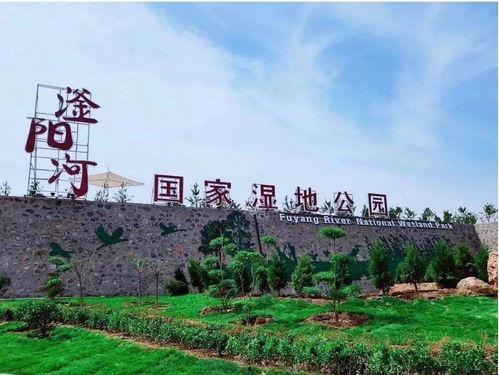 邯郸峰峰公园吃瓜,畅享清凉时光