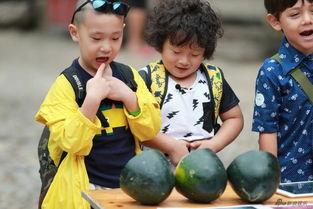 养娃吃大瓜,甜蜜大瓜，共享欢乐时光