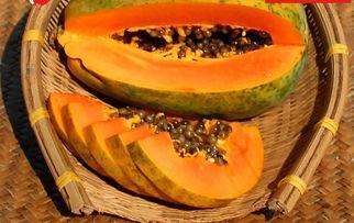 瓜家人吃瓜入口,揭秘瓜家人吃瓜入口的独特魅力