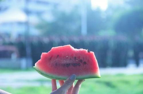 梦见别人给瓜我吃,瓜香四溢，共享瓜果之乐