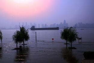 吃瓜江滩爱情墙,吃瓜群众见证的浪漫故事