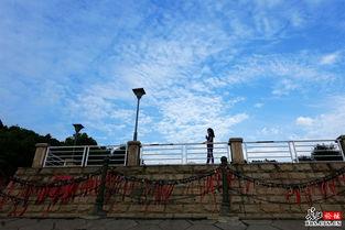 吃瓜江滩爱情墙,吃瓜群众见证的浪漫故事