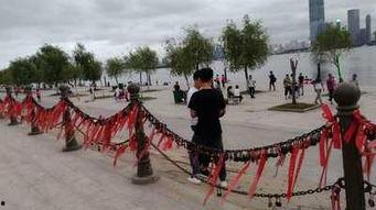 吃瓜江滩爱情墙,吃瓜群众见证的浪漫故事