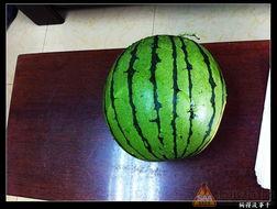 吃瓜居士,揭秘娱乐圈幕后真相，带你领略明星生活的另一面