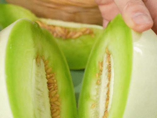 发烧吃玉菇瓜,天然食疗的神奇疗效