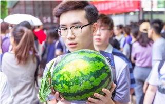 毕业了 吃瓜,吃瓜群众围观校园风云