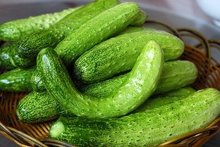 杨二坪吃瓜,揭秘娱乐圈背后的秘密与八卦