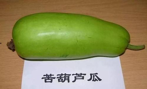 葫芦瓜如何吃,解锁健康美味新体验