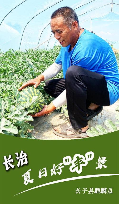 家人们吃瓜了吗,吃瓜了吗？揭秘娱乐圈最新热点事件