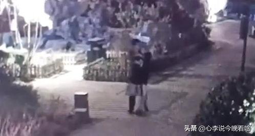 沧县吃瓜事件视频播放,视频曝光引发网友热议