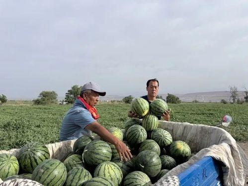 磐石吃瓜,揭秘娱乐圈背后的那些事儿