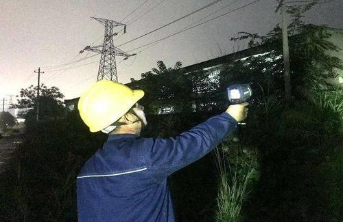 电摇吃瓜,揭秘网络热点的幕后故事