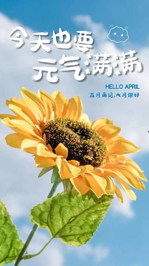 吃瓜文案小女孩