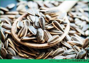 瓜吃瓜子,探寻瓜与瓜子的奇妙之旅