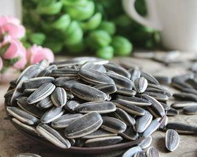 瓜吃瓜子,探寻瓜与瓜子的奇妙之旅