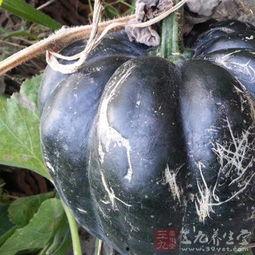 睡觉之前吃方瓜