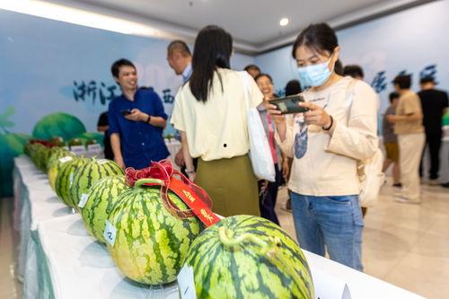 温岭市吃瓜,瓜果飘香，品味生活新篇章