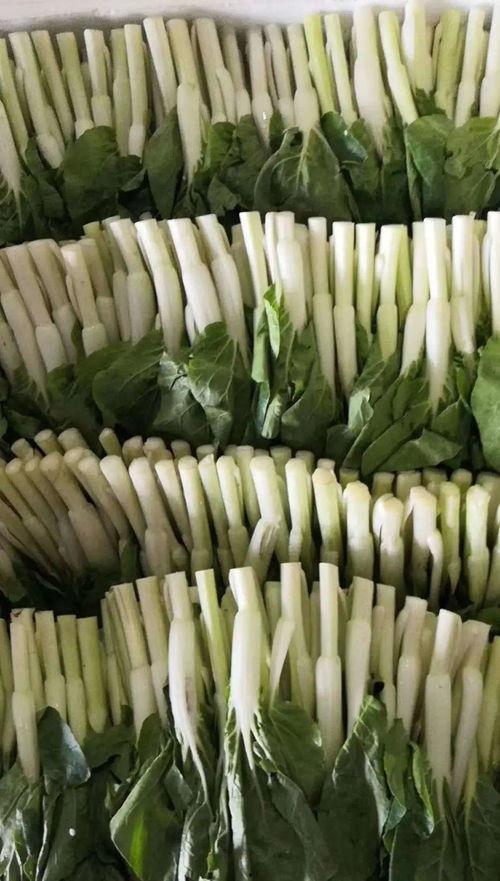 北美吃瓜团,揭秘娱乐圈背后的故事与真相