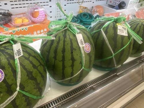 什么叫吃瓜日,网络热词背后的文化现象