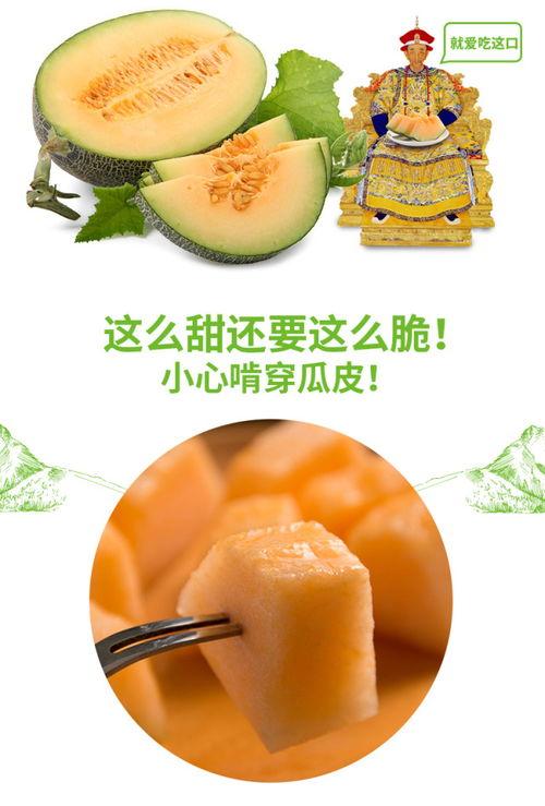 什么叫吃瓜日,网络热词背后的文化现象