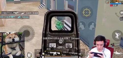 钢枪小霸王吃瓜,揭秘游戏圈幕后风云