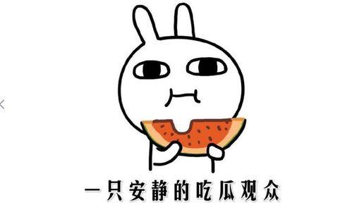 该吃瓜就吃瓜什么意思,揭秘“该吃瓜就吃瓜”的内涵与趣味