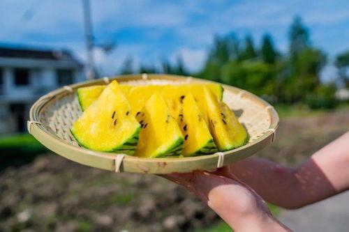 月娘吃瓜,揭秘娱乐圈幕后故事