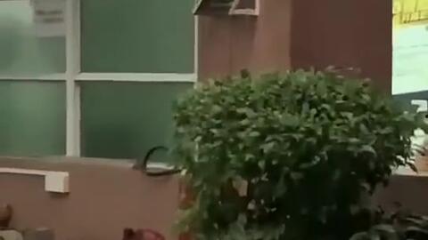 临沂吃瓜新闻事件,一场网络舆论的风暴与反思