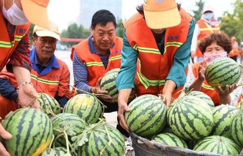 临沂吃瓜新闻事件,一场网络舆论的风暴与反思