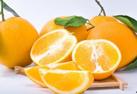 吃瓜橙多多小雪,揭秘瓜界新宠儿的甜蜜生活