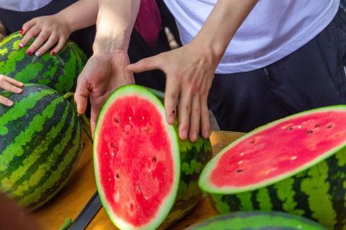 重庆机电大学吃瓜,校园吃瓜风云录