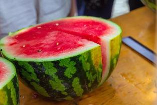 重庆机电大学吃瓜,校园吃瓜风云录