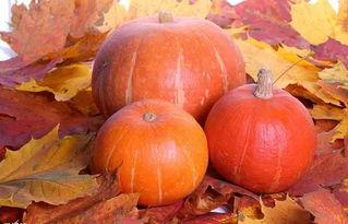 南瓜和面瓜减肥吃哪个,减肥饮食中的优选瓜类对比